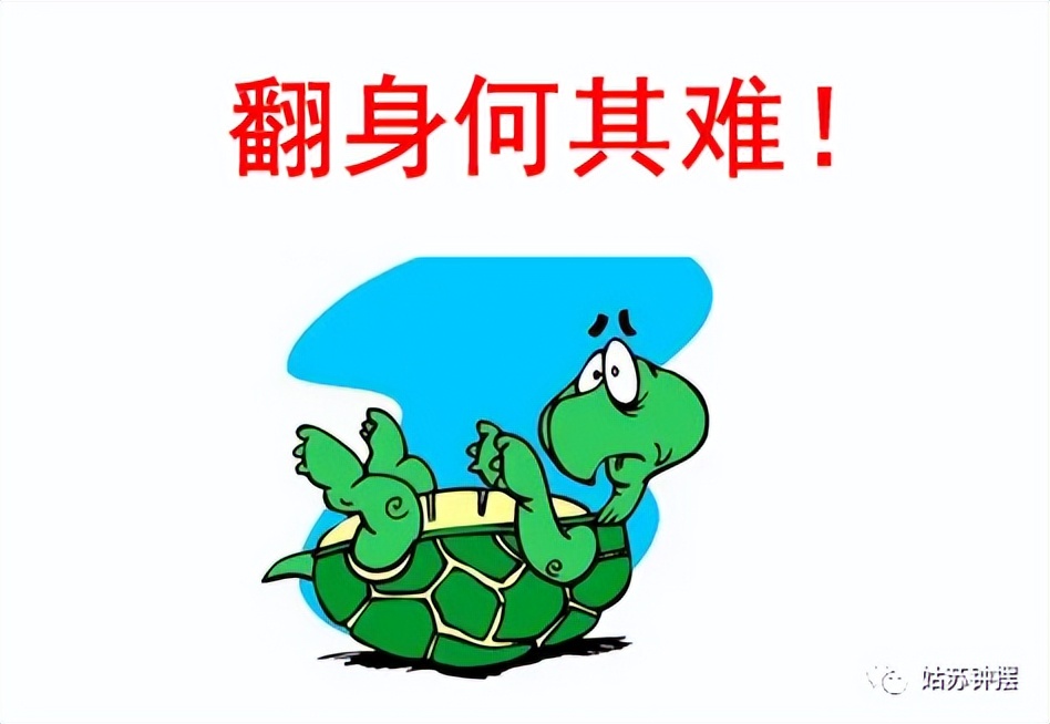 APP显示IP归属地，自由的气息有了我喜欢的芬芳