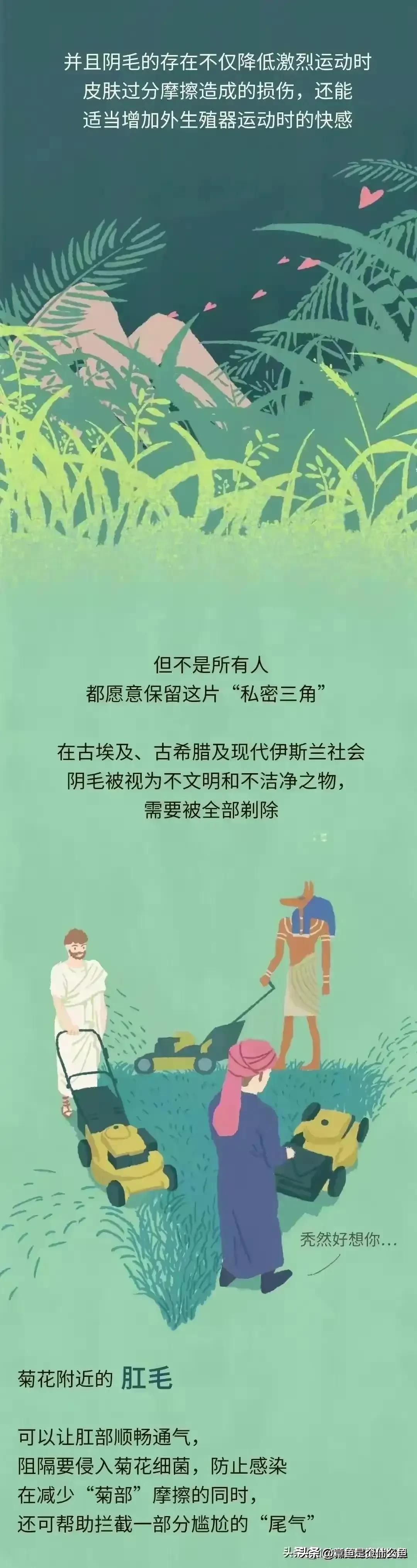 人类的毛发为什么是鳞片状,人类体毛退化原因揭秘