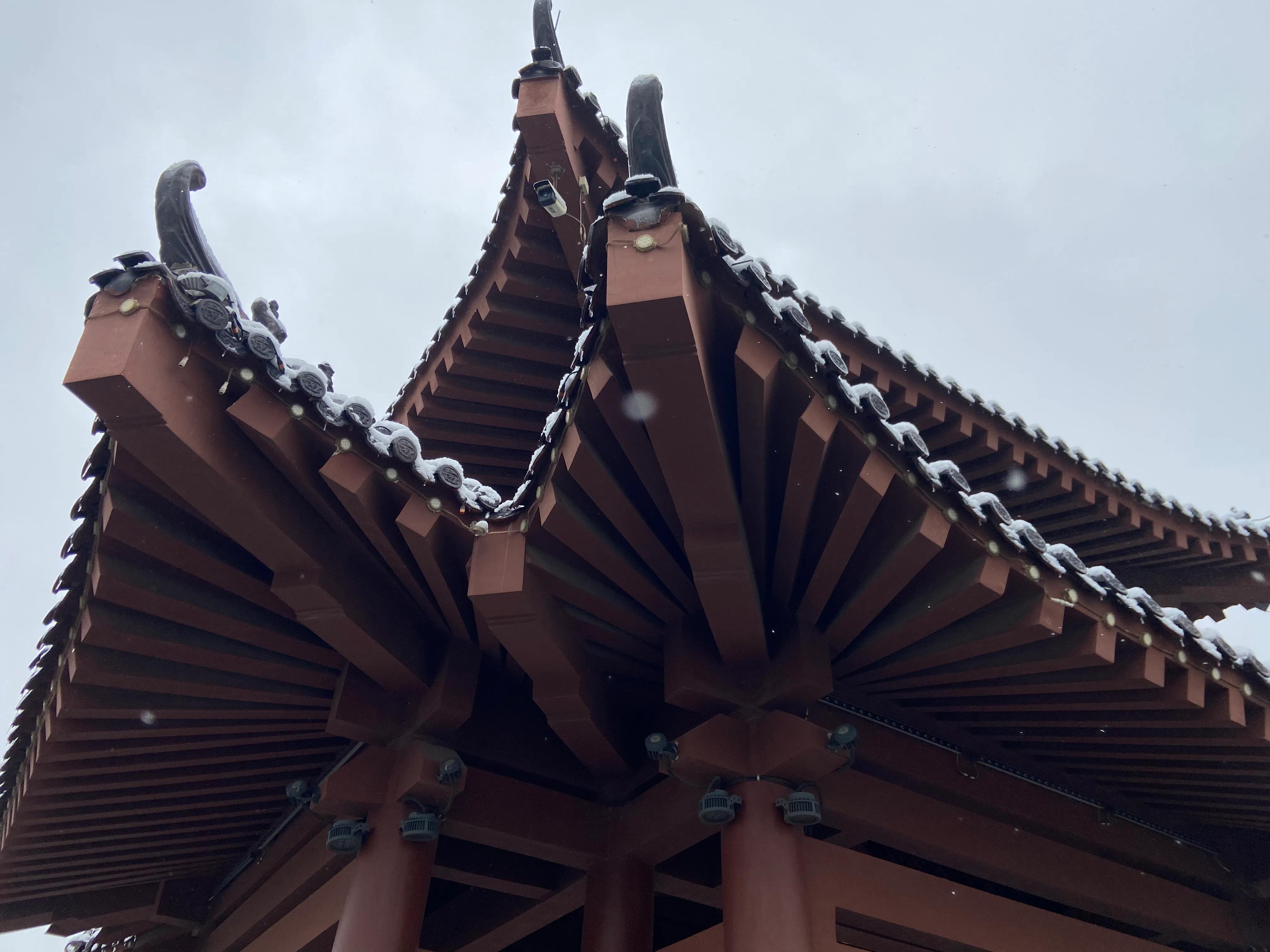 治痔疮的汤方,治疗痔疮的乙字汤配方与用量