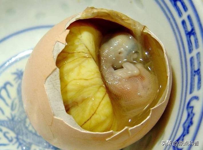 网红吃货视频火鸡面,网红火鸡面新吃法视频