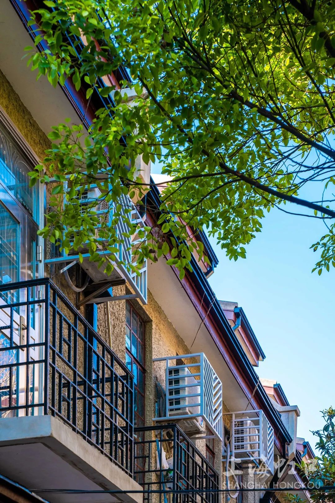 历史风貌保护区如何更新,山阴路历史风貌区