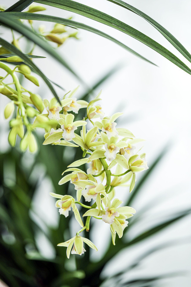 妊娠情感事记（2）彩超室里的尴尬让我对医生的工作多了尊敬