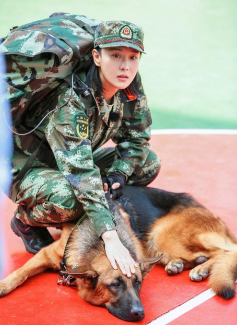 张馨予嫁给何捷原因让人感动,张馨予嫁给何捷是最好的证明