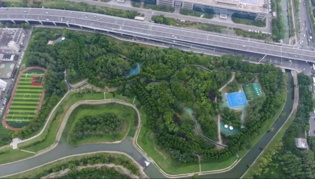 公园全民健身项目有哪些,全民健身传递健康快乐的生活方式