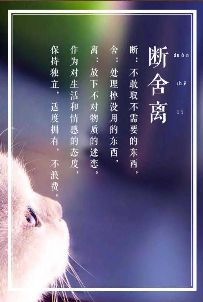 为什么说断舍离是一种生活方式,断舍离真的是聪明女人的生活智慧