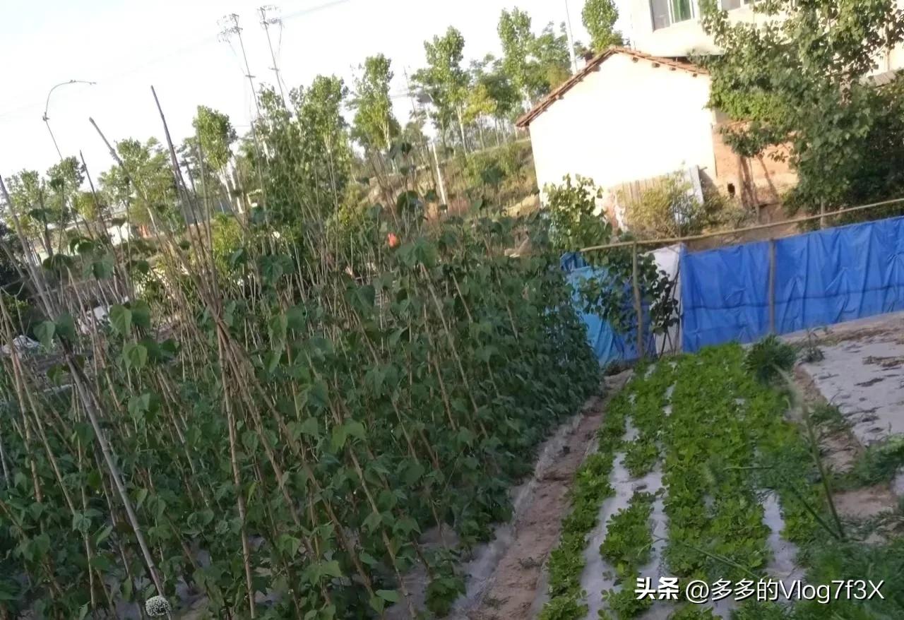 最大的幸福是父母健在,陪伴父母是最大的幸福