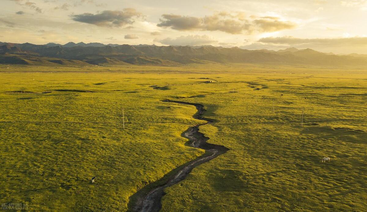 怕什么来什么终究还是没逃过,怕什么来什么最终还是逃不过