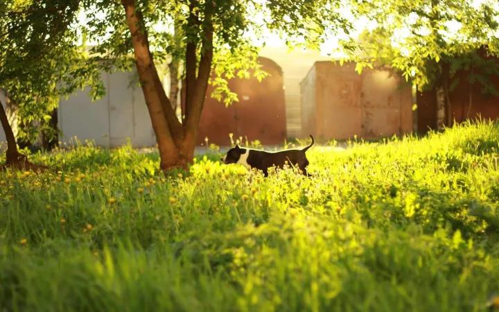 养生之道的深度解析,浅谈中老年人保健的养生之道