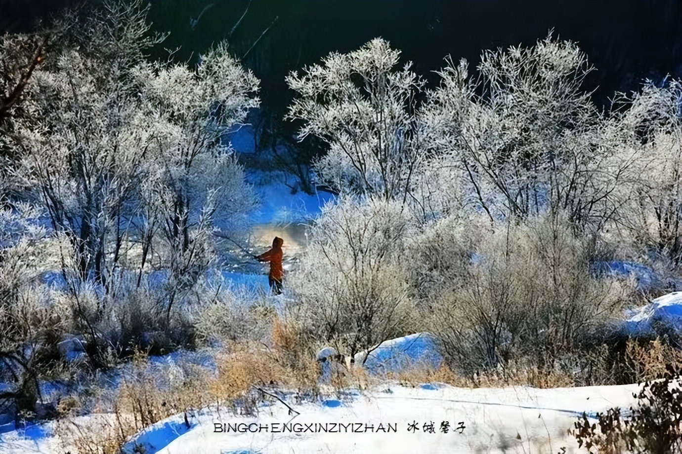 中俄边境线上的小城：逊克，披着“红珠绿边银装”的生态边城