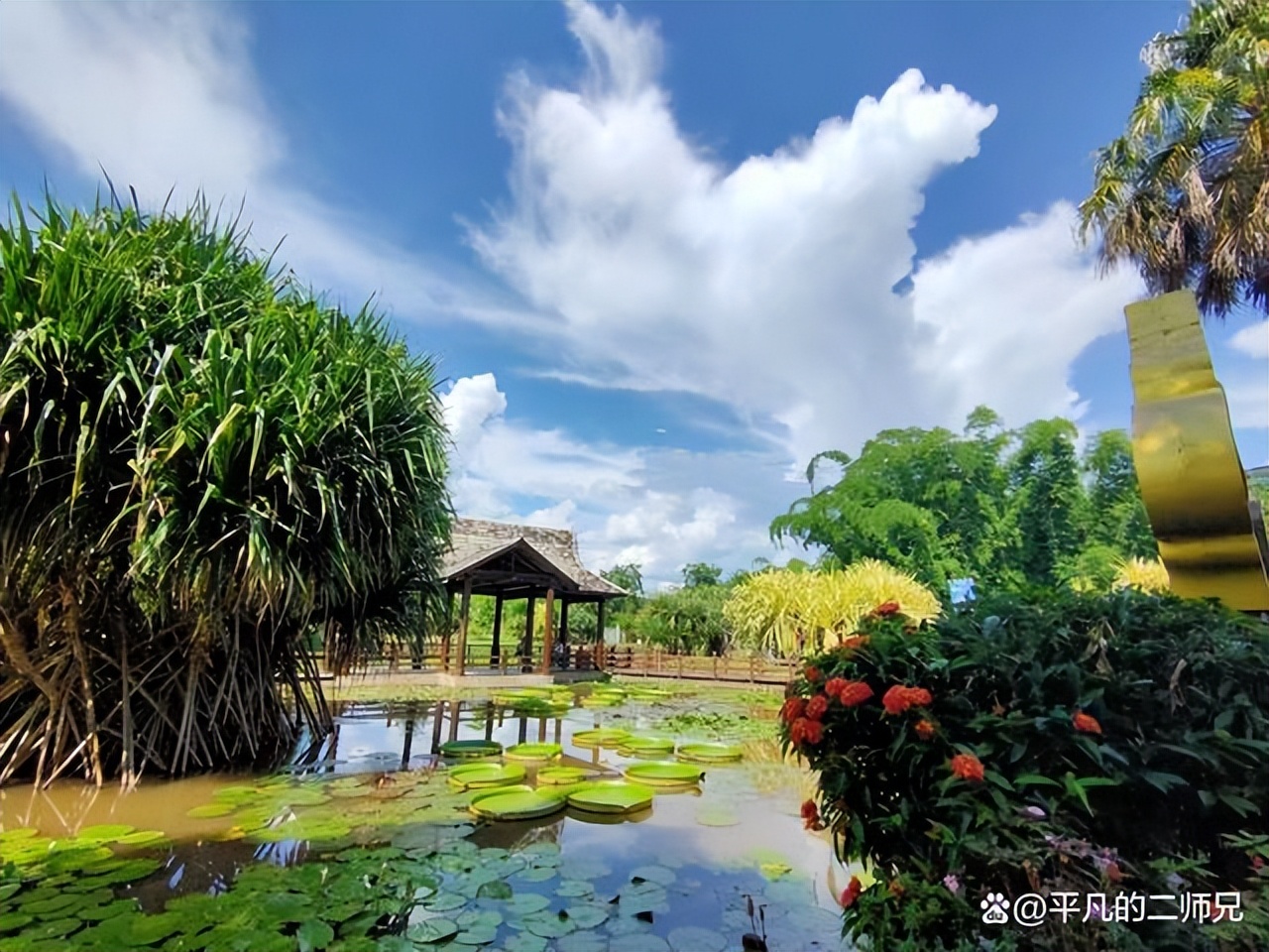 小众旅游景点西双版纳动物园,西双版纳动物多的景点