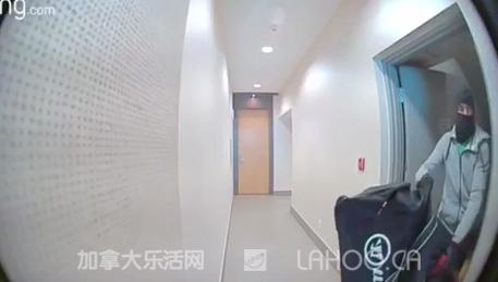 加拿大本拿比已是犯罪猖獗的不宜居之地？！网友：我要离开了…