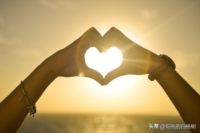 不识庐山真面目只缘身在此的理解,不识庐山真面目只缘身在山中诗意