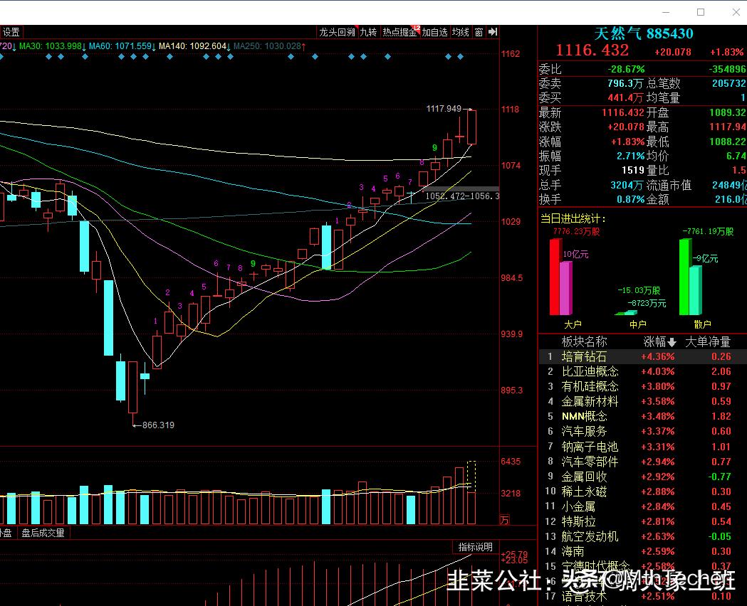 光伏胶龙头,深圳燃气龙头企业