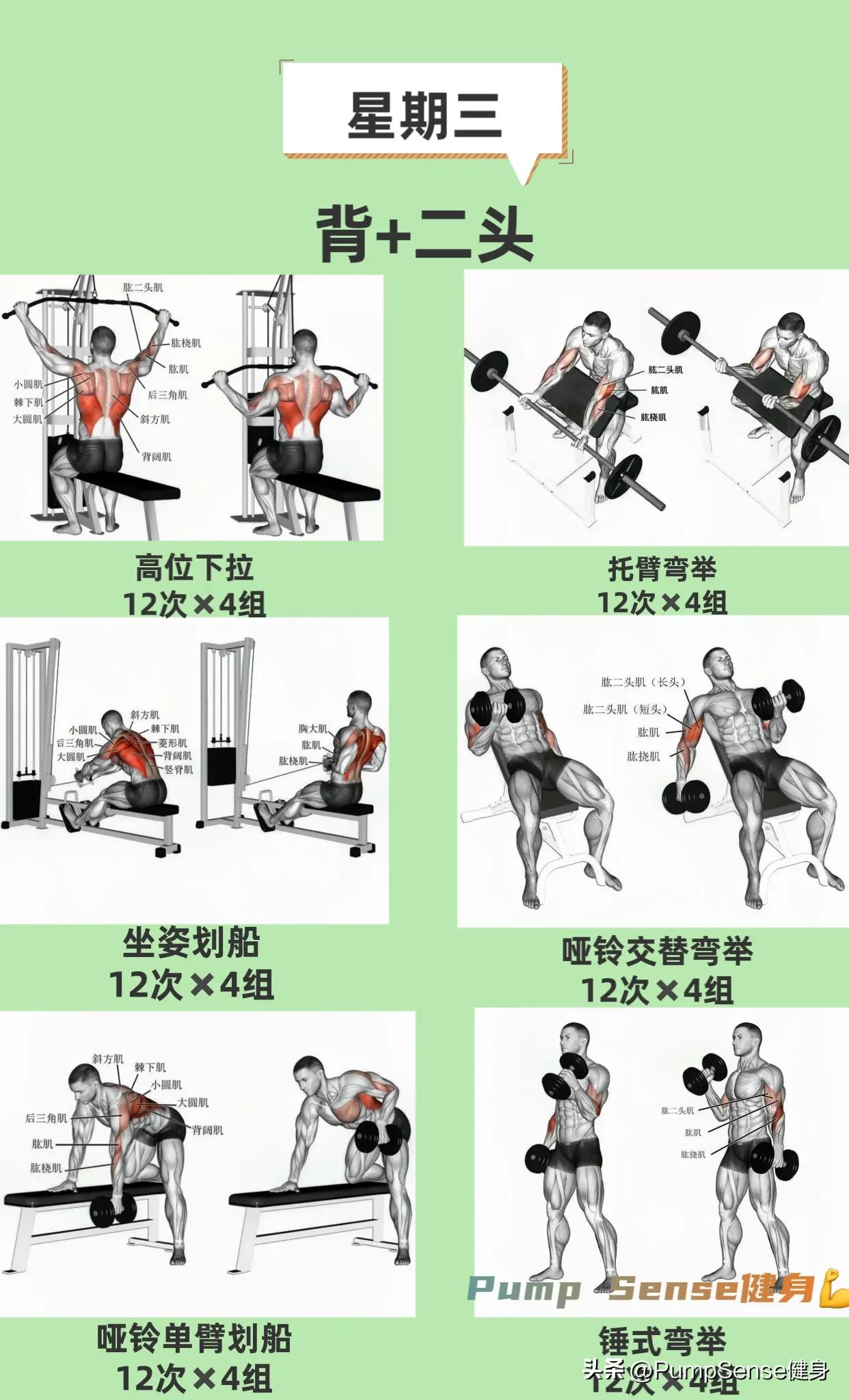 新手健身计划app,新手健身计划怎么写