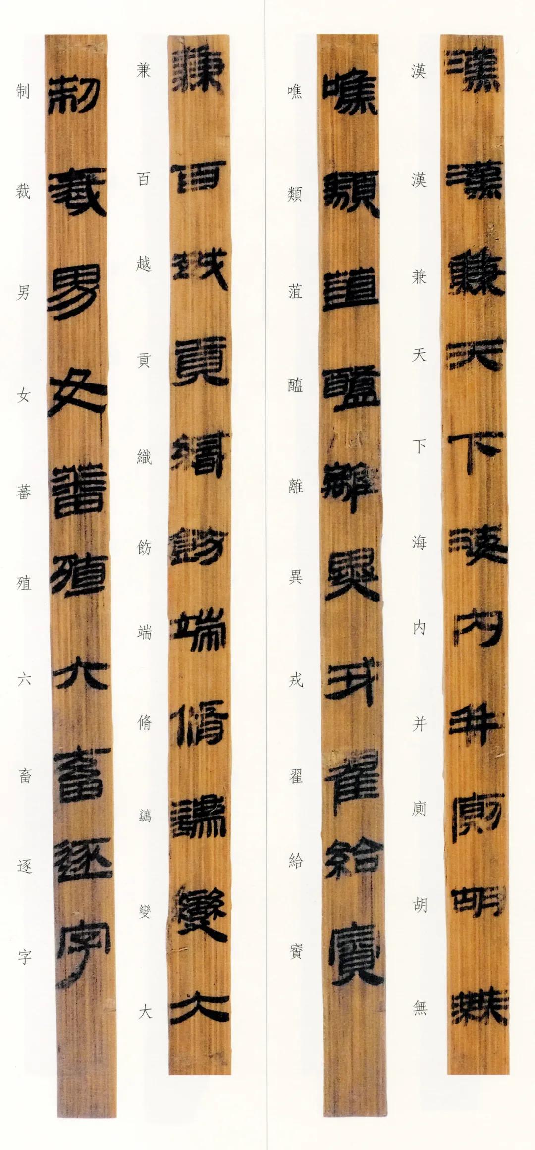 西汉竹书,西汉竹简草隶书法作品