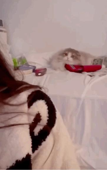 花1.4万吃了顿午饭后，全国人民都知道我了哈哈哈哈