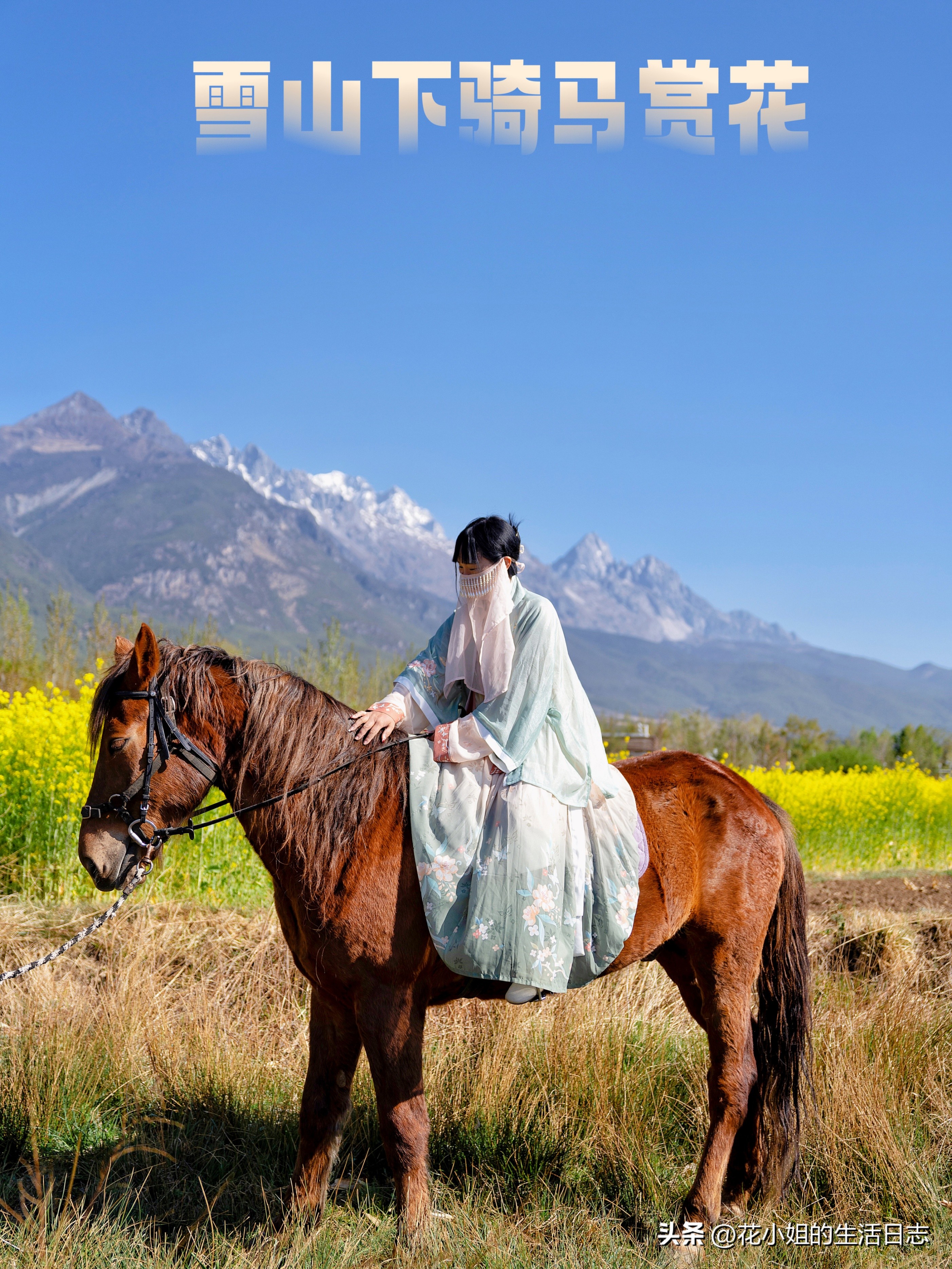 丽江束河古镇民宿价格表,丽江住一晚3000元的酒店