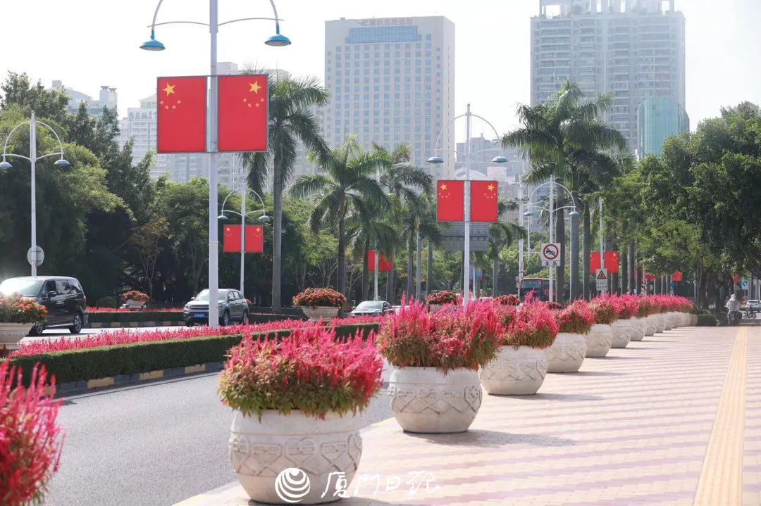 厦门花海景点最新,厦门最近的花海