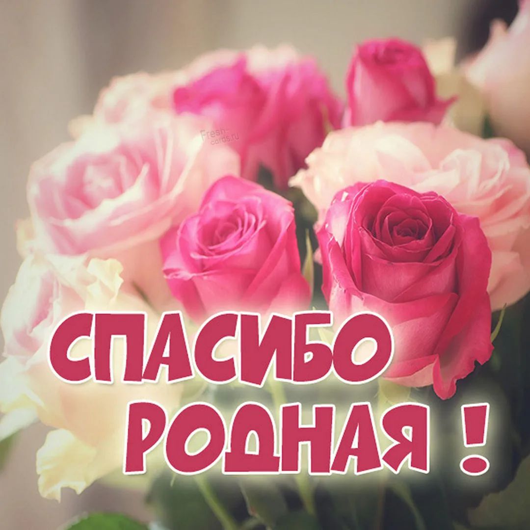 每日一句每天只能听一句吗,葡萄牙语最近还好吗