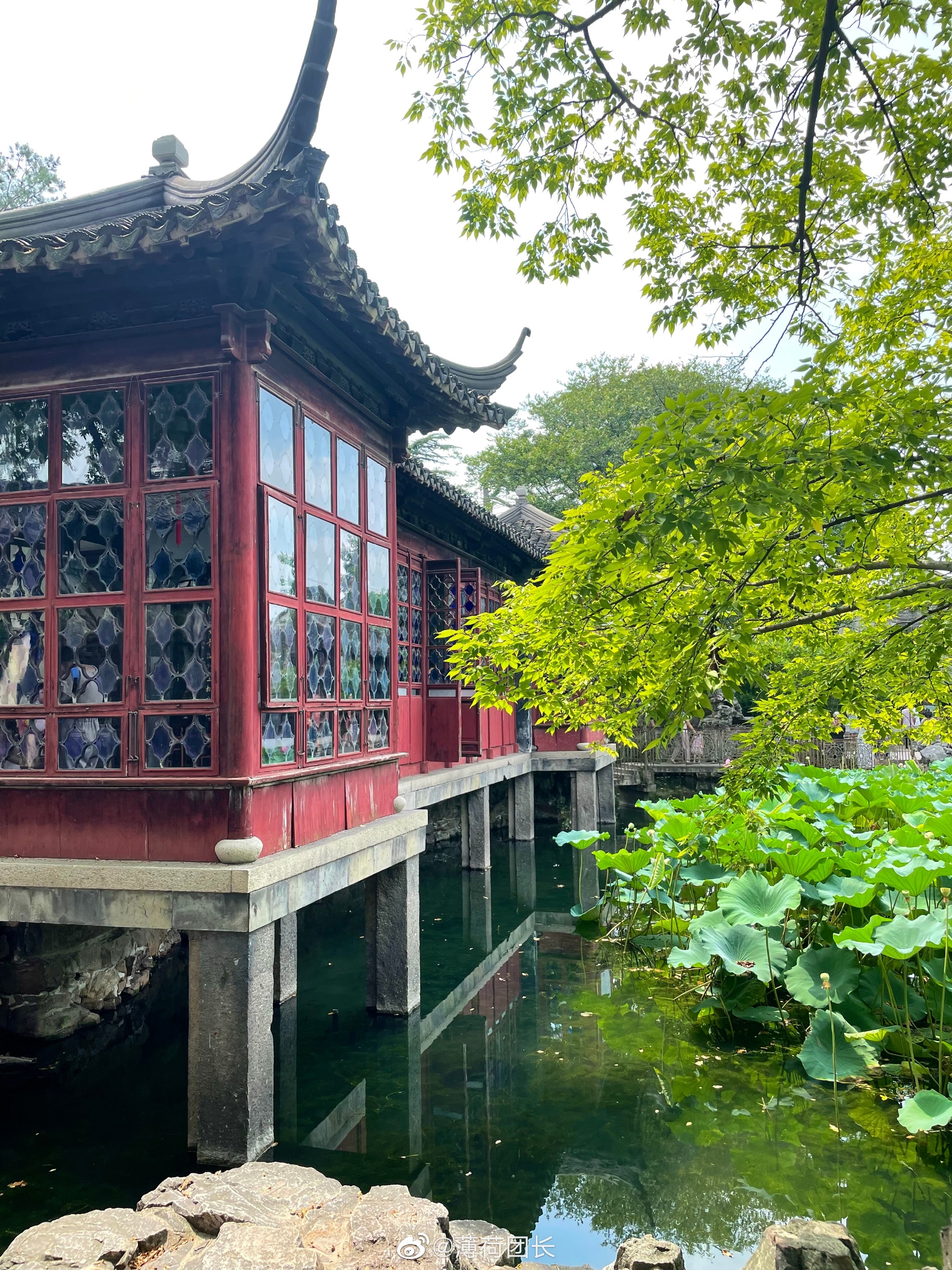 苏州园林之首拙政园一日游,苏州拙政园一日游