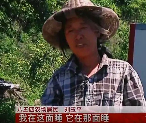 黑龙江养蜂女刘玉平：与20条大蛇同睡在一张床上，至今没被咬过