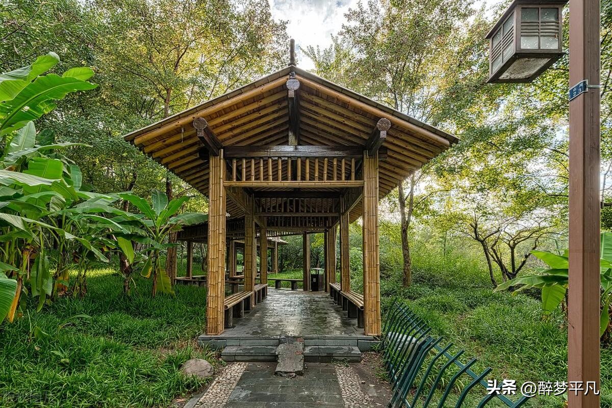 杭州西溪湿地为什么是5a,杭州国家西溪湿地