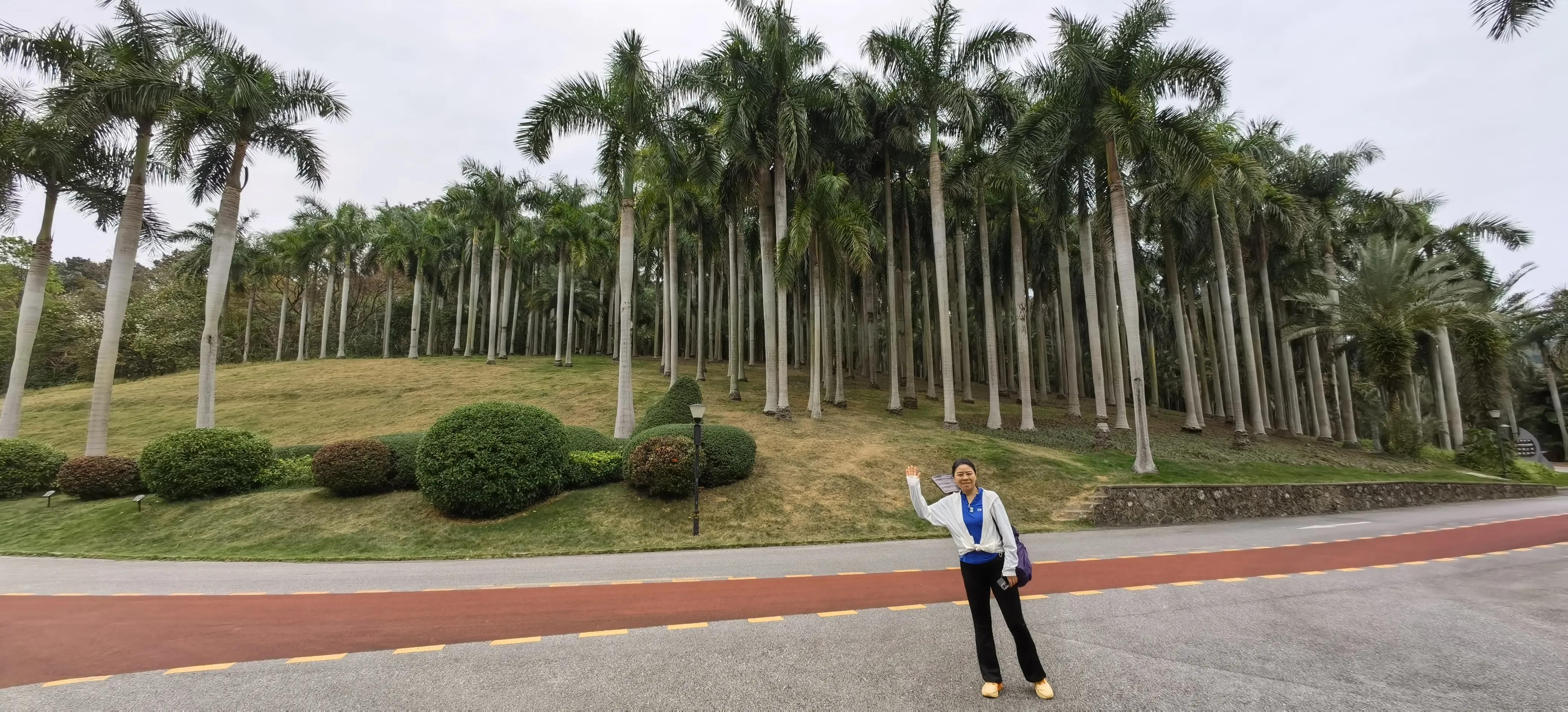 旅行日记记录一家人美好生活,旅行日记85天