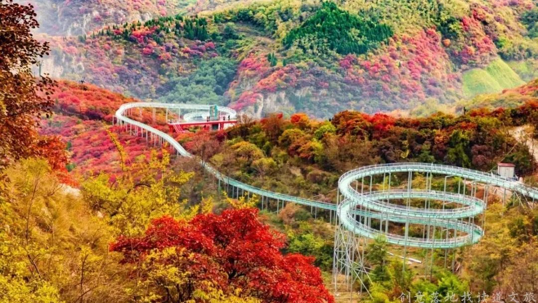 乡村振兴100讲全集,100个经典乡村振兴案例