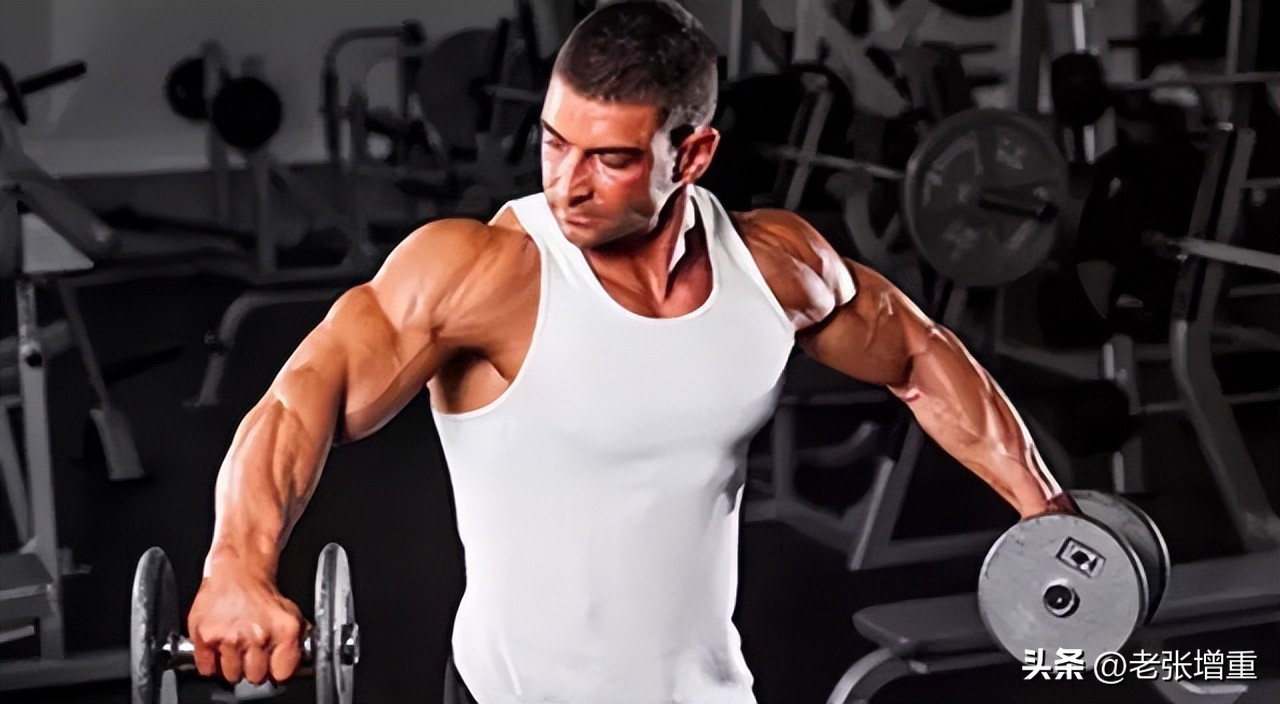 瘦子增重怎么练背部,瘦子增重增肌训练教程哑铃