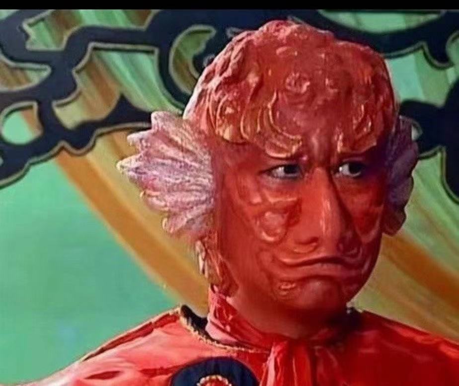 豆荚猫红色造型秀场,豆荚猫秀场图片