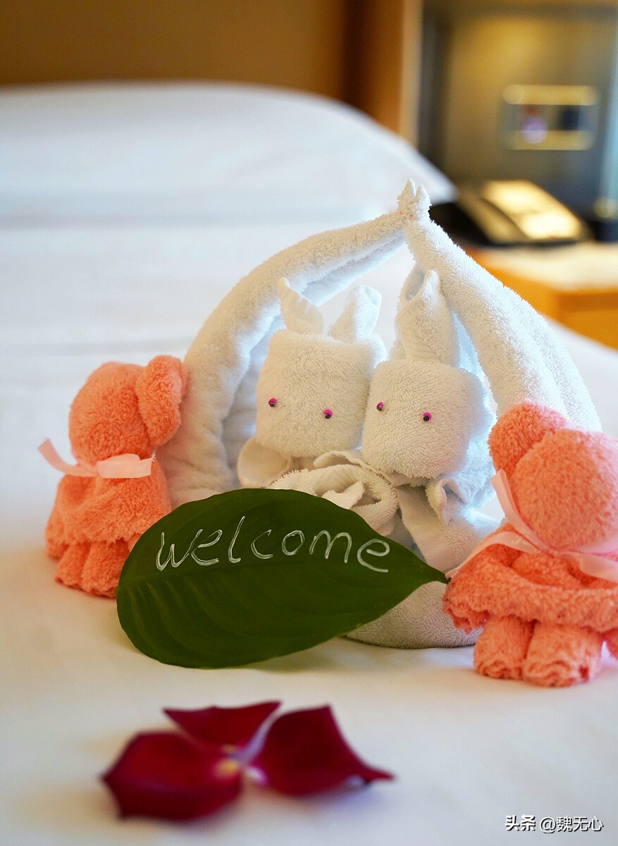 鏍床缇庣殑涓囪豹,鏍床缇庣殑涓囪豹閰掑簵鍦板潃