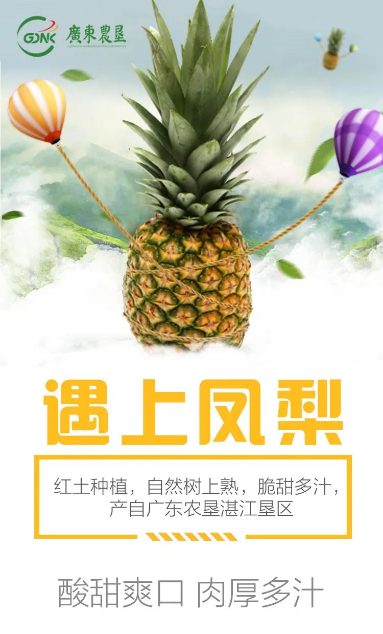 遇上凤梨，了解一个外表粗糙、内心甜美的“热带水果姑娘”！