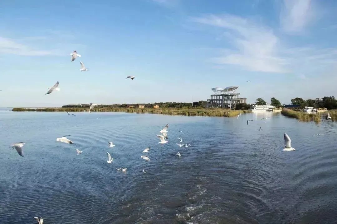 【全攻略】这3条鸡西避暑旅游线路奉上，解锁鸡西颜值最高的美景！