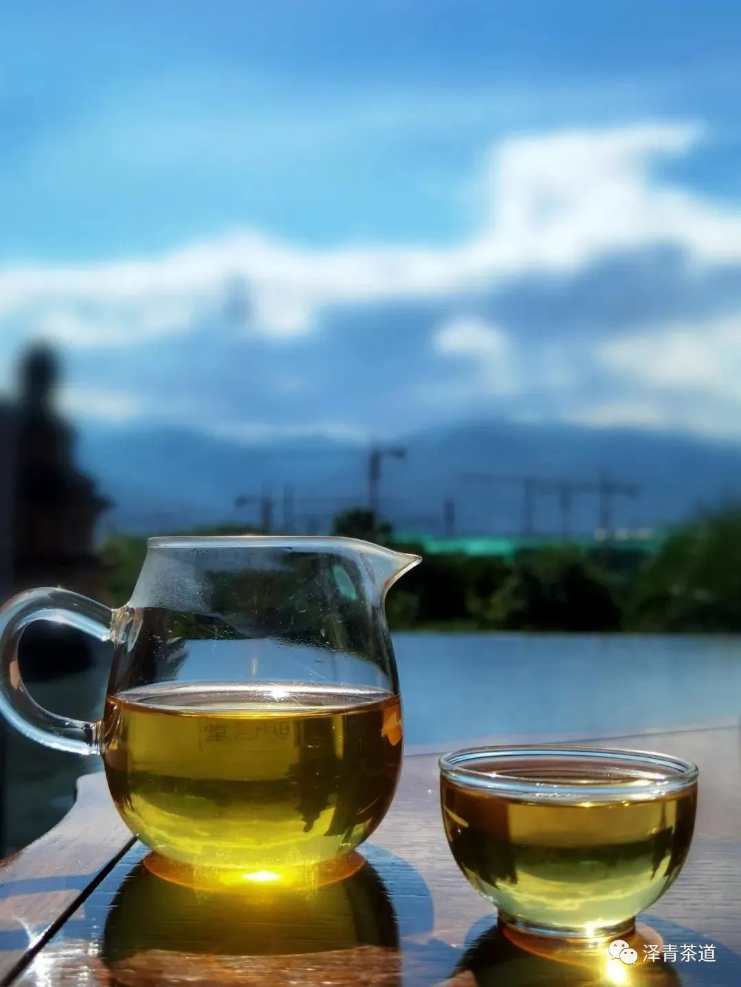 保塘古树茶好喝吗,芒景古树茶好喝吗