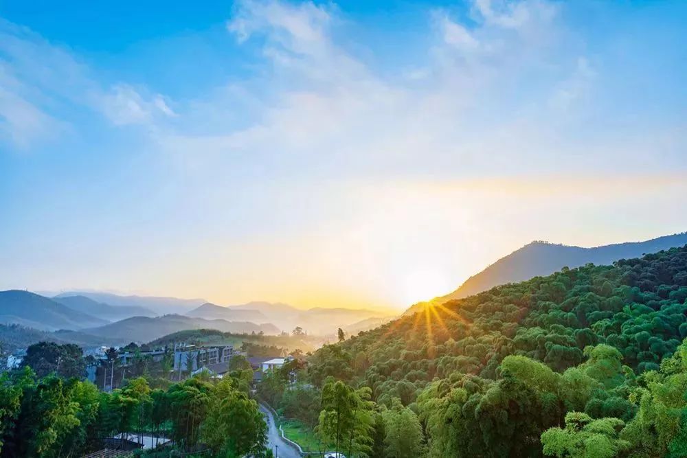 莫干山3家不容错过网红民宿，泡暖心温泉私享冬日雪景丨南方民宿