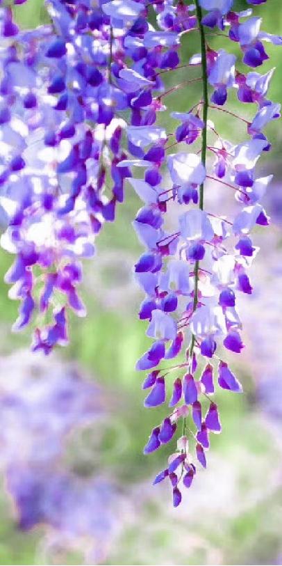 五一的常州,常州的五一