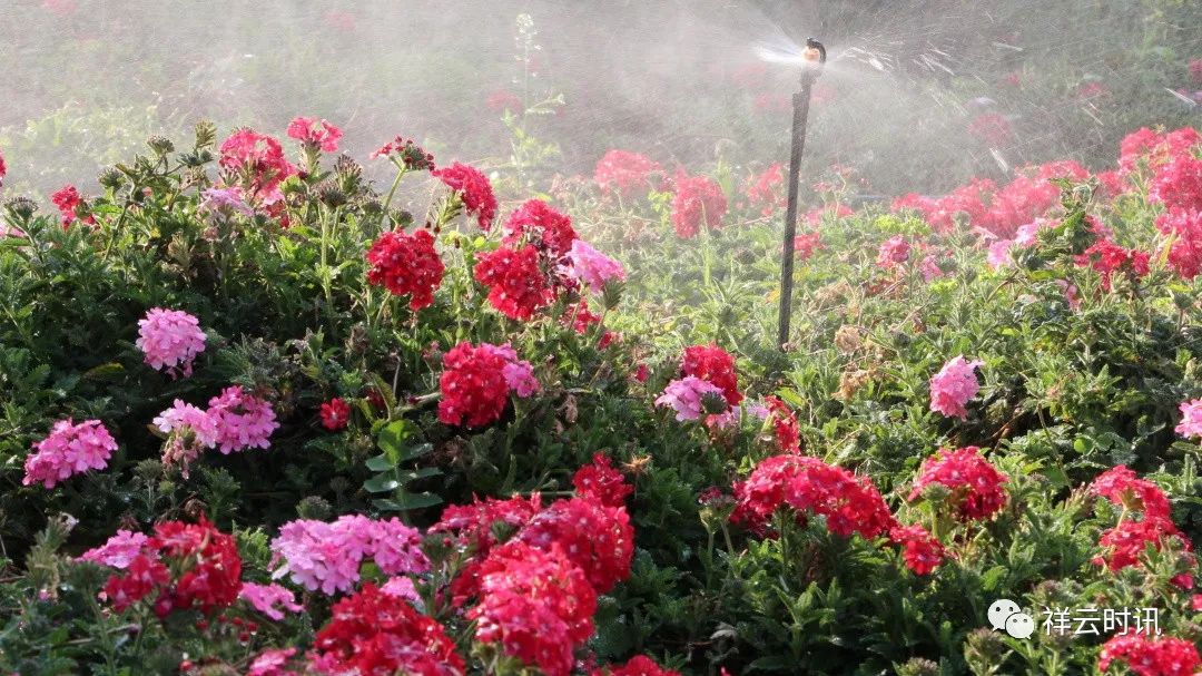 传承红色基因争做优秀教育工作者,传承红色基因弘扬劳模精神