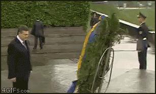 80张神奇偶然瞬间，环形闪电，海蛇和最毒石斑鱼互咬，骑骆驼拍照