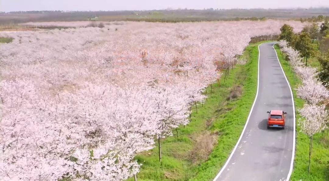 合肥至拉萨火车旅游线路,合肥十大自驾游路线