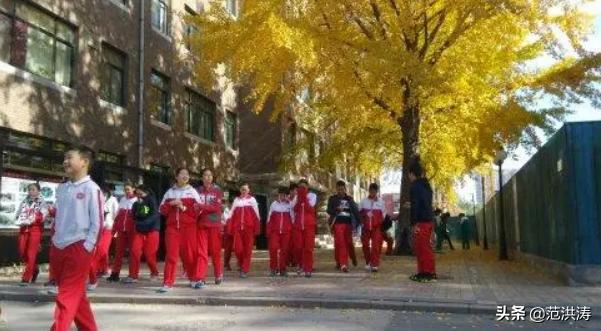 校长王铮现状,王铮校长免职