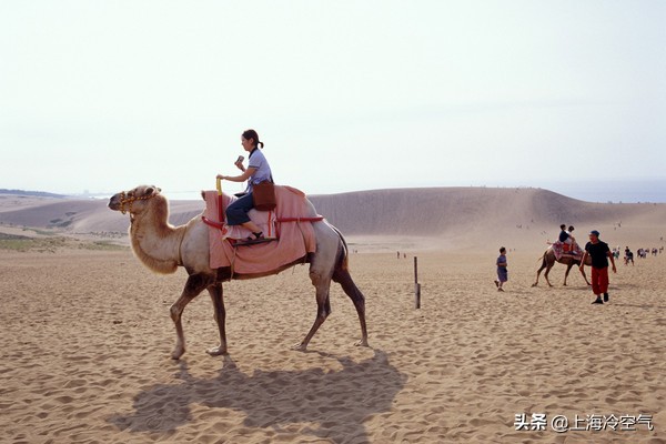 探索不一样的世界,日本小众山阴游玩攻略