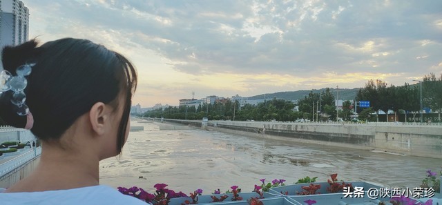 头条原创文章怎么算收益,头条文章是原创不是首发会怎样