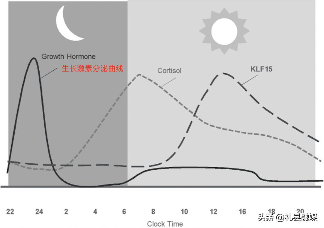 孩子午睡的危害,3岁内的宝宝午睡有什么好处