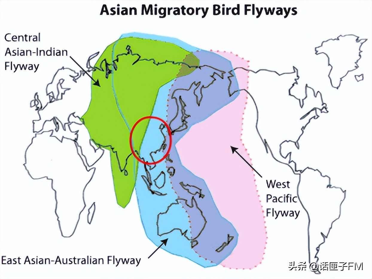 这种花花绿绿的贴纸在上海流行，警示对象不是人类？