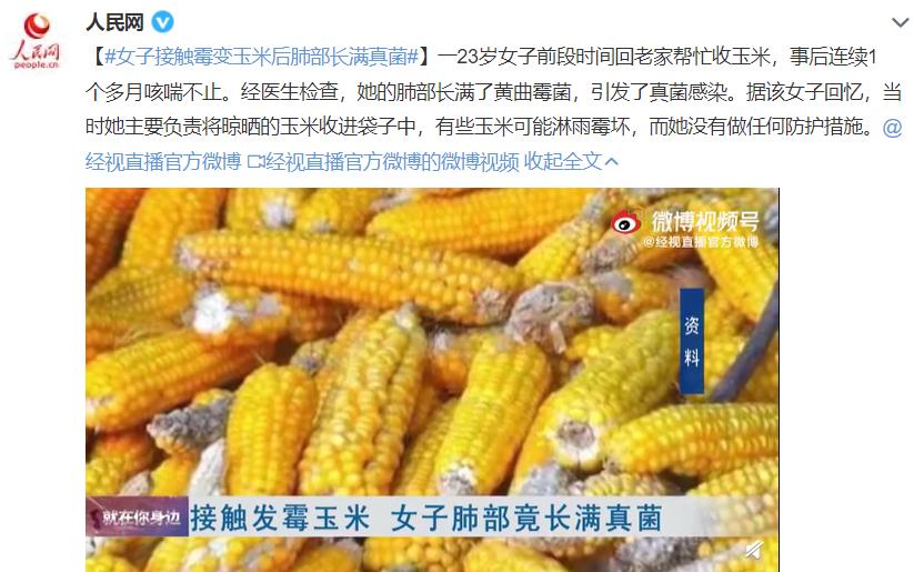 玉米上的霉菌中毒症状,收发霉玉米