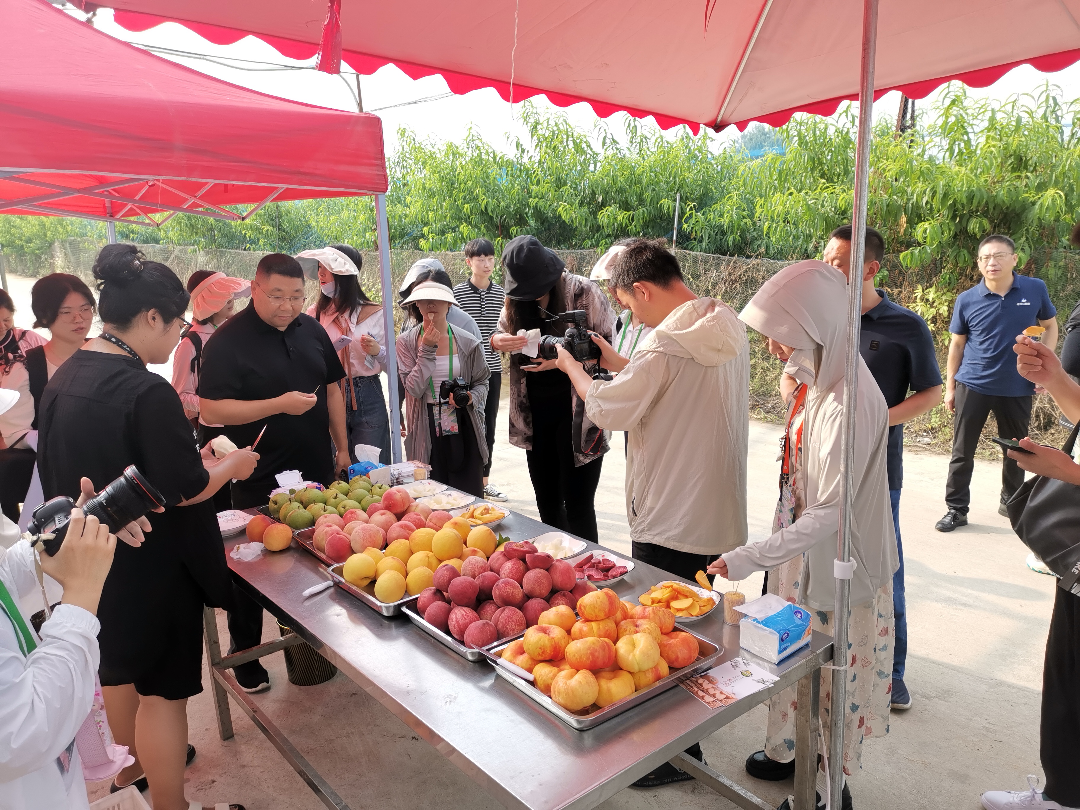 襄阳老河口市乡村振兴有哪些项目,湖北省老河口市乡村振兴工作重点