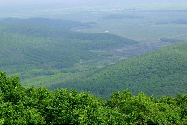 富锦事件1944年,富锦日本战俘叛乱