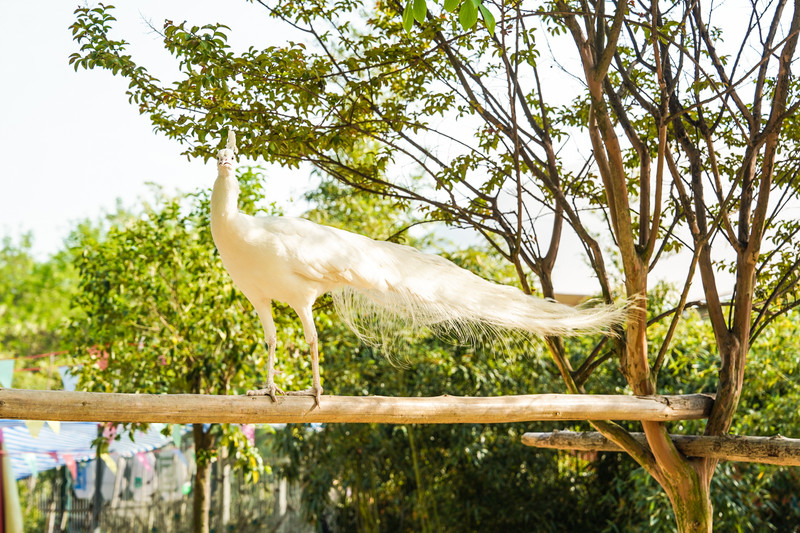 宿州两日游,宿州旅游攻略三日游