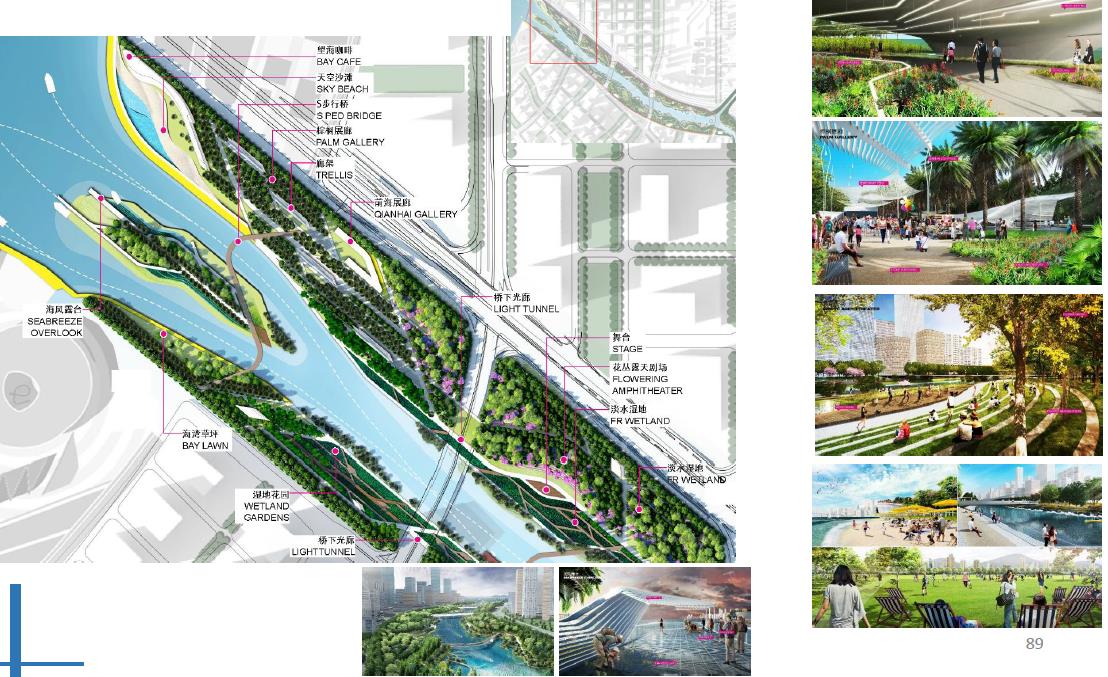 广东深圳华侨城国家湿地公园,最新深圳湿地公园