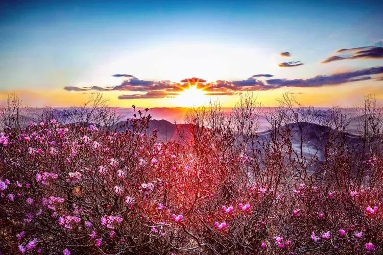 春节不可买哪些东西,春节买年货这些食品不要买